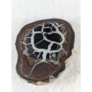Dragon Stone Septarian slice fossil 41 x 55mm 35.5 grams Thunder egg NWOT